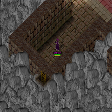 A hidden ladder visible through dungeon foreground terrain