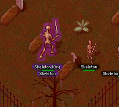 Skeleton King boss highlighted during a frenzied surge