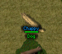 A named pet visible below its healthbar