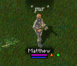 Burning and poison status icons beside the healthbar