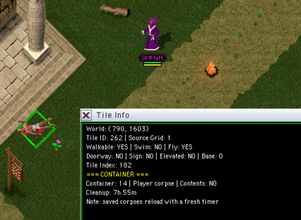 Tile Info window showing tile, movement, and container details