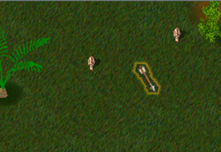 Recovered missed arrows on the ground