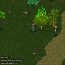 Chopping a tree as gathering wear appears
